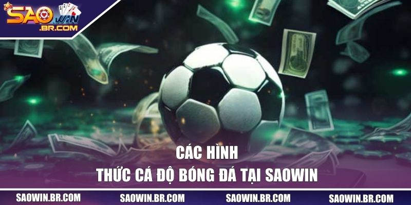 Các hình thức cá độ bóng đá tại SAOWIN 